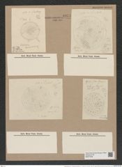 Stephanopyxis turris v. intermedia (intermedia pr. sp. v. minor) Grun. (de-Toni-Nr.: Genus 187, Species 4624) Zeichnungen Sammlung Grunow Nr. 8251 (NHMW-BOT-W0377646)